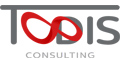 TODIS - ERP, systemy ERP, CONSULTING